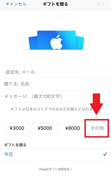 Apple StoreからiTunesカードバリアブルタイプを購入する手順2