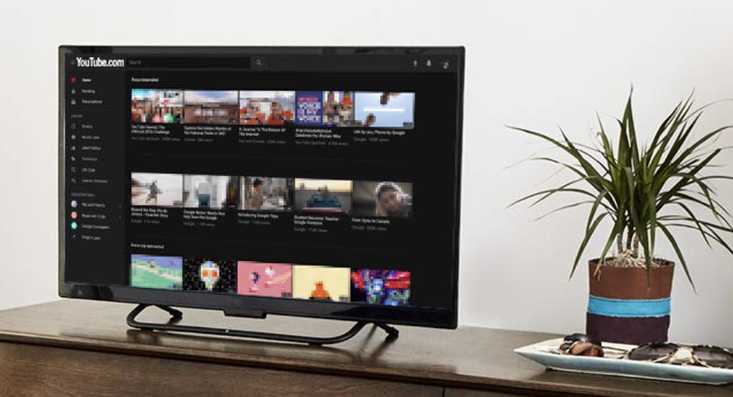 モニターと植物