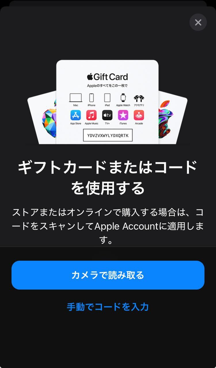 コードを手動入力またはカメラでスキャン
